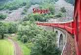 Packers and Movers Siliguri